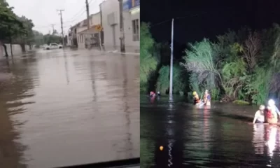 Se espera que Ileana continúe debilitándose en las próximas horas, reduciéndose a una depresión tropical y, eventualmente, a una baja presión remanente.