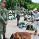 Las extorsiones a los limoneros han incrementado, con cobros que alcanzan los 4 pesos por kilo de limón, situación que ha obligado al cierre temporal de empacadoras y la suspensión del corte de limón.