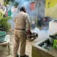 Un total de 38 mil 726 personas presentan síntomas de dengue, pero no se consideran casos confirmados debido a la falta de pruebas.