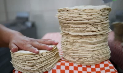 El Gobierno de México busca reducir 10% el precio de la tortilla y alcanzar autosuficiencia alimentaria.