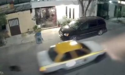 Taxista arrastra y mata a perrito ciego en Monterrey. El acto de crueldad animal se hizo viral y se exige justicia.