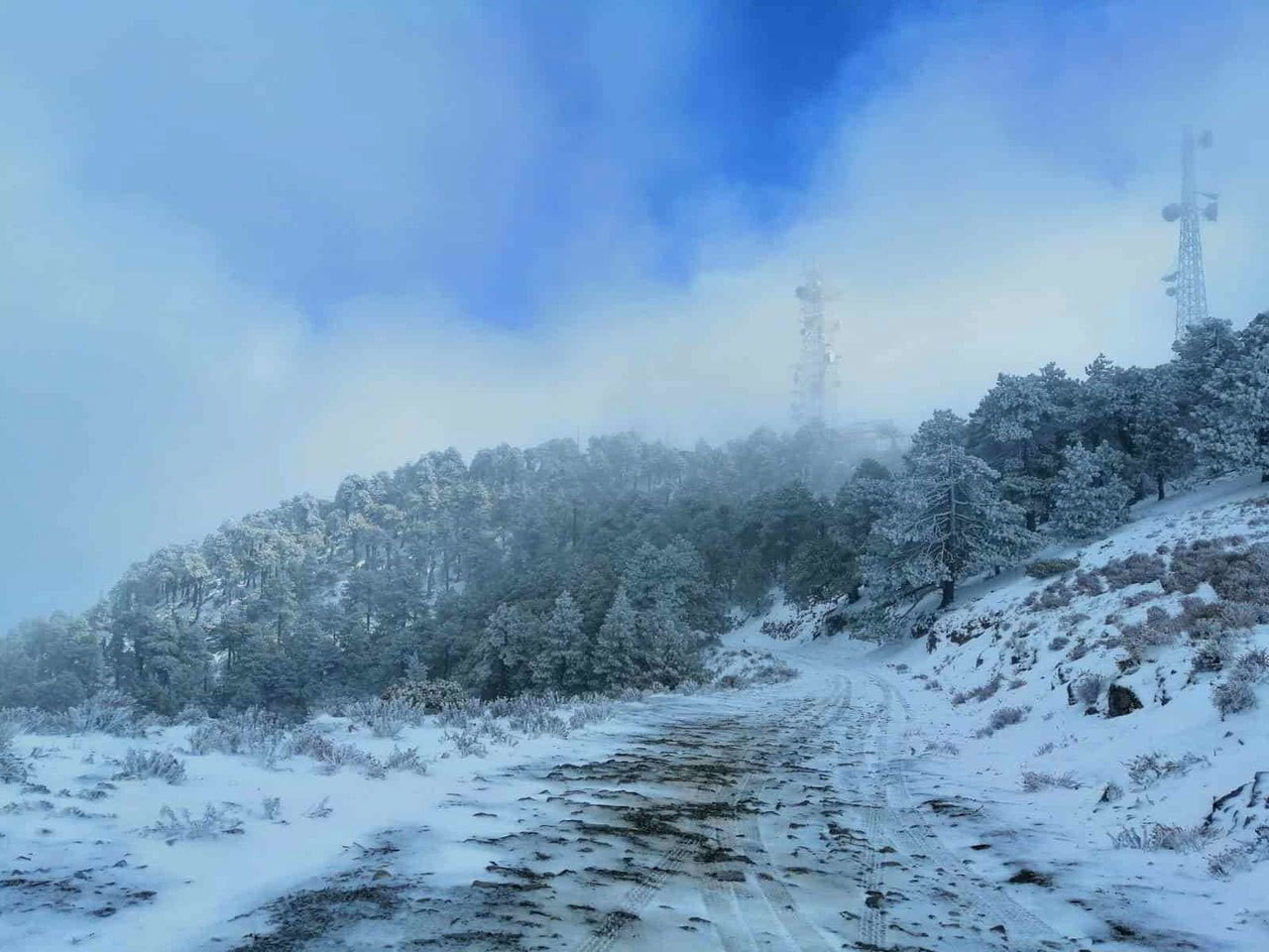 Nuevo León enfrentará un invierno seco y con fuertes heladas por "La Niña"; se prevén hasta 50 frentes fríos y apoyo de Protección Civil.