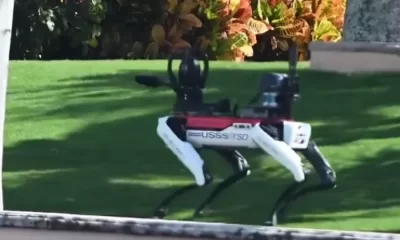 El Servicio Secreto usa perros robot en Mar-a-Lago para proteger a Trump, equipados con sensores avanzados y tecnología de vigilancia.