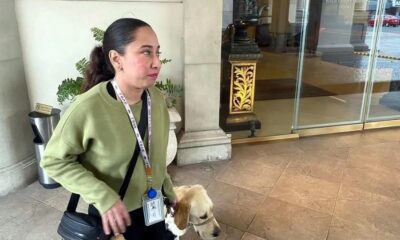 Mujer denuncia discriminación en Hotel Safi por negar entrada a su perro guía; autoridades investigan y anuncian posibles sanciones.