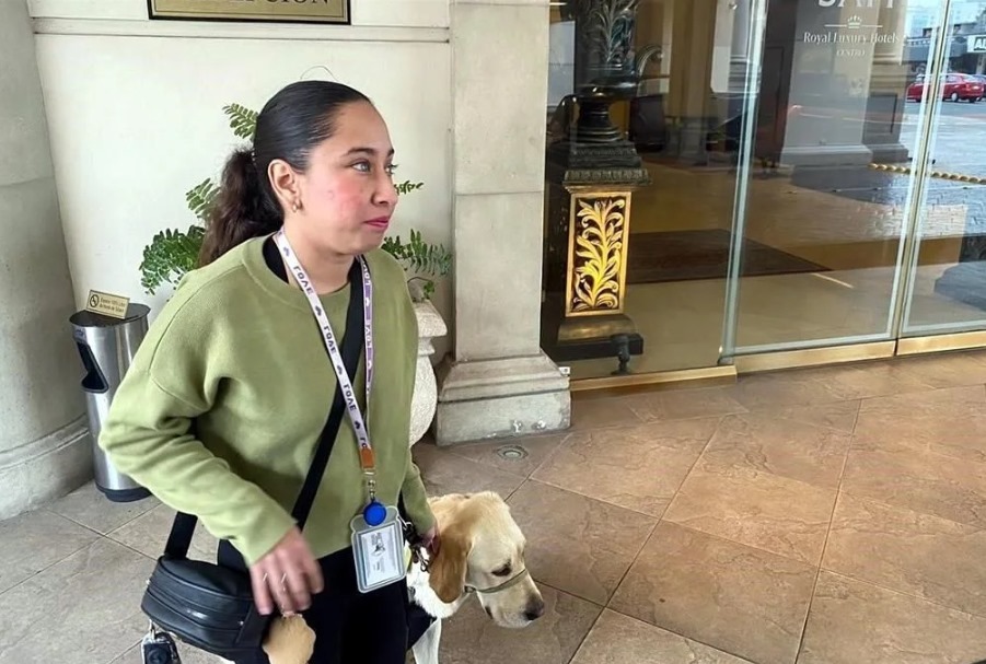 Mujer denuncia discriminación en Hotel Safi por negar entrada a su perro guía; autoridades investigan y anuncian posibles sanciones.