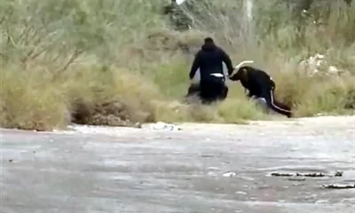 Policías de Ciénega de Flores golpean a trailero sometido en la Carretera Libre a Nuevo Laredo; aún se desconoce el motivo de la detención.