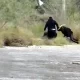 Policías de Ciénega de Flores golpean a trailero sometido en la Carretera Libre a Nuevo Laredo; aún se desconoce el motivo de la detención.