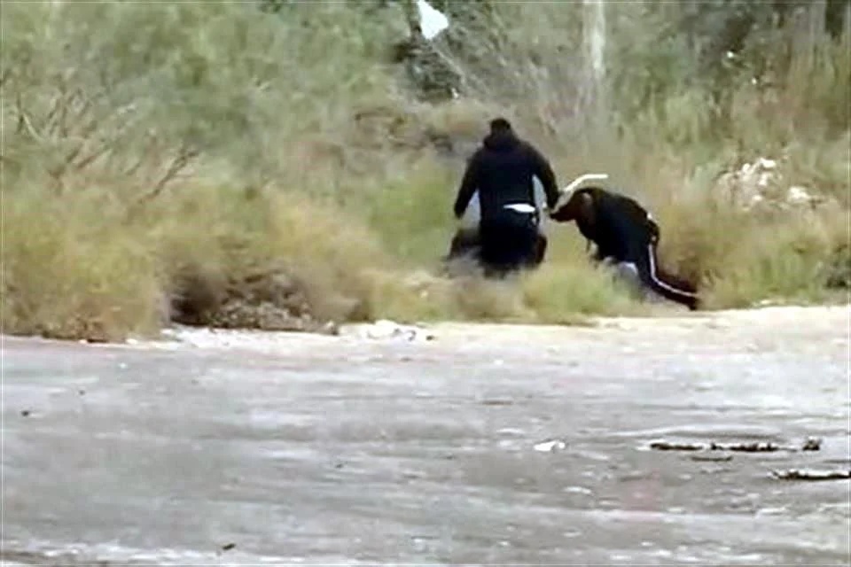 Policías de Ciénega de Flores golpean a trailero sometido en la Carretera Libre a Nuevo Laredo; aún se desconoce el motivo de la detención.