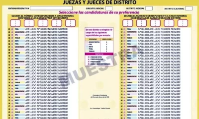 Los consejeros Arturo Castillo y Martín Faz alertaron sobre el riesgo de que los votantes concentren sus 10 votos en pocas especialidades, dejando otras sin representación.