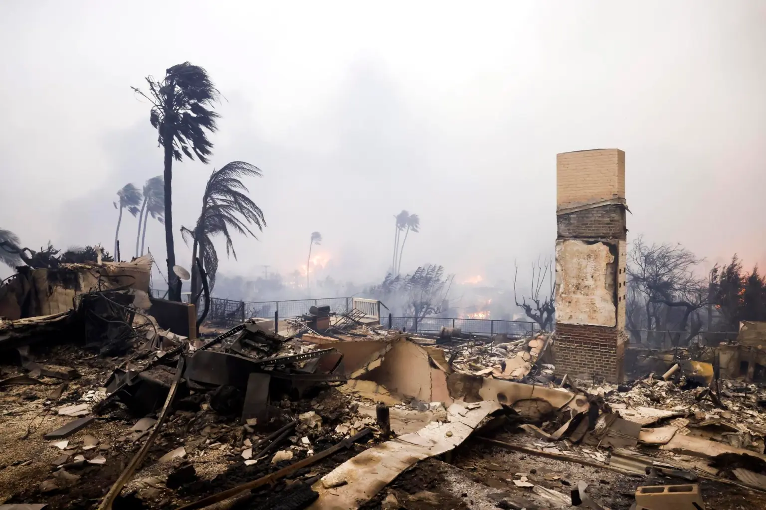 Dos muertos y más de 80 mil evacuados por incendios en Los Ángeles; el fuego, impulsado por vientos de 160 km/h, arrasa miles de hectáreas.