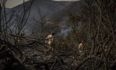 Tijuana declara estado de alarma por vientos de Santa Ana; reportan 2 muertos, 74 casas dañadas y 250 evacuados. Habilitan albergue.