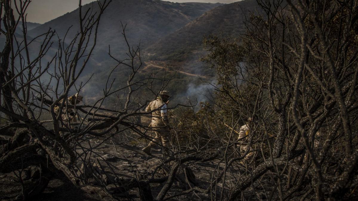 Tijuana declara estado de alarma por vientos de Santa Ana; reportan 2 muertos, 74 casas dañadas y 250 evacuados. Habilitan albergue.