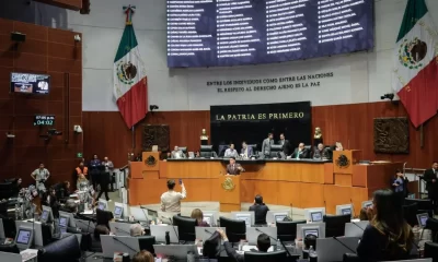 Esta medida forma parte de la reforma al Poder Judicial, cuyo objetivo es combatir el nepotismo y la corrupción en la impartición de justicia.