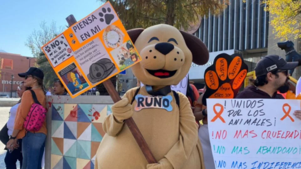 Los manifestantes buscan entregar un pliego petitorio en el Palacio de Gobierno, solicitando que la pena de prisión aumente de tres a seis años, ya que actualmente consideran que los castigos son insuficientes.