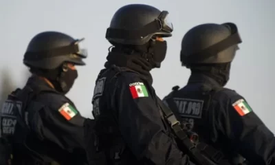Desde que Claudia Sheinbaum asumió la presidencia el 1 de octubre de 2024, la cifra de agentes asesinados ha ascendido a 164
