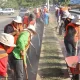 Los migrantes participan en actividades como la limpieza de calles y áreas públicas, lo que les permite obtener ingresos para cubrir sus necesidades básicas