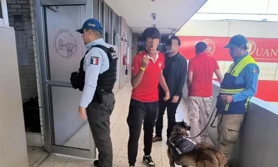 Binomios caninos y personal de la UANL realizaron un rastreo en las instalaciones para descartar cualquier peligro.