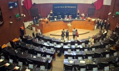 La reforma establece que los funcionarios de organismos públicos y militares de alto rango podrán portar armas y municiones sin licencia, siempre que acrediten su cargo o jerarquía.