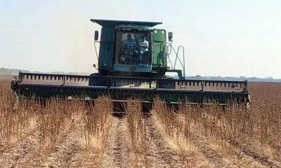 El acuerdo binacional, anunciado por el Gobierno federal, se llevará a cabo pese a que las presas internacionales La Amistad y Falcón presentan niveles críticos de almacenamiento, con apenas 20 y 12.7 por ciento