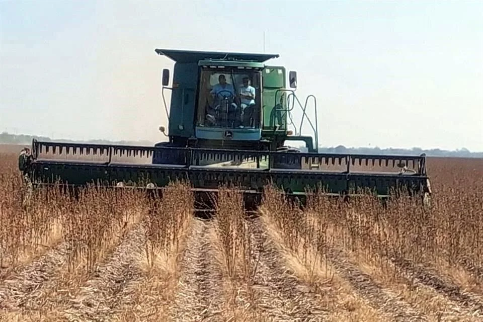 El acuerdo binacional, anunciado por el Gobierno federal, se llevará a cabo pese a que las presas internacionales La Amistad y Falcón presentan niveles críticos de almacenamiento, con apenas 20 y 12.7 por ciento