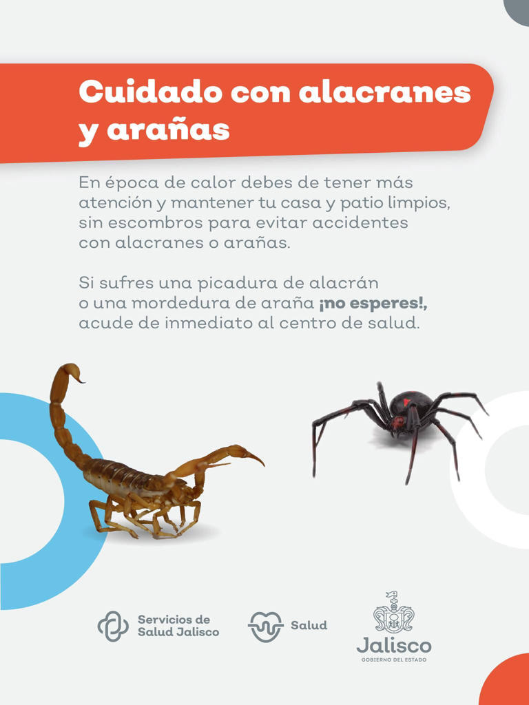 El antídoto contra el veneno del alacrán es gratuito y se encuentra disponible en todas las unidades de salud del estado.