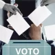 Entre las conductas que podrían constituir delitos electorales destacan la compra o coacción del voto, la retención de credenciales para votar, el acarreo de votantes, la presión a subordinados para apoyar a determinada candidatura, y la solicitud de evidencias sobre el sentido del voto.