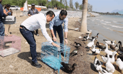 El acuerdo fue suscrito por los alcaldes David de la Peña Marroquín y Daniel Carrillo Martínez, quienes destacaron la importancia de esta colaboración para garantizar el bienestar de aves, tlacuaches y otras especies endémicas.