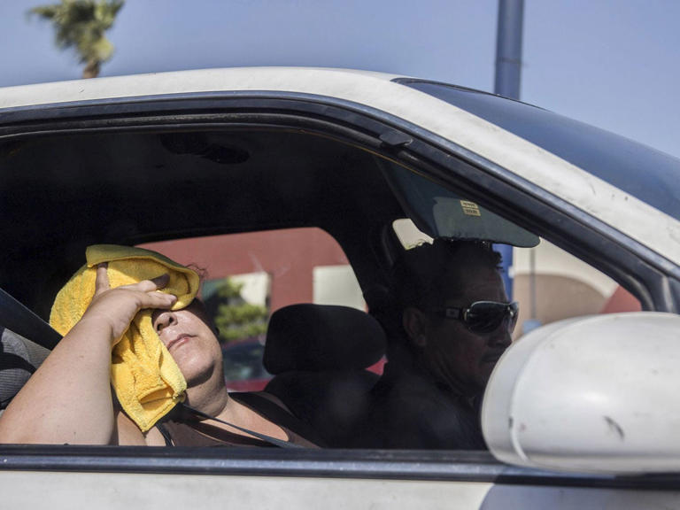 El golpe de calor fue la afección más reportada, con 236 casos (59%), seguido por la deshidratación con 150 personas afectadas y 14 casos de quemaduras.