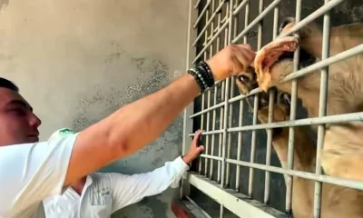 El morenista también relató que su esposa se desmayó al presenciar la curación, debido al impacto de ver la sangre. “Me andaba cuidando y terminó desmayándose. ¡Ya los dos bien, gracias a Dios!”, escribió con humor.
