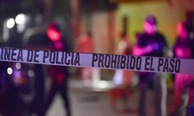 La presidenta Claudia Sheinbaum atribuyó los avances a su estrategia de seguridad, basada en cuatro ejes: atención a las causas, fortalecimiento de la Guardia Nacional, inteligencia contra el crimen y coordinación entre niveles de gobierno.