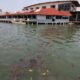 Pescadores y pobladores reportan la muerte de diversas especies marinas, entre ellas sábalo, jurel y bonito, así como daños a larvas de ostión y aves como pelícanos.