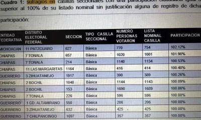 El INE señaló que aún faltan datos por integrar, ya que varios dictámenes presentan apartados en blanco o incompletos, lo que ha llevado al Consejo General a entrar en receso para completar la revisión.