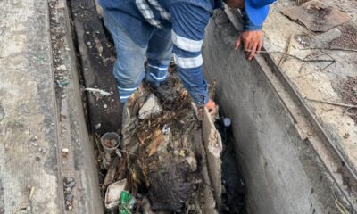 Esta máquina logra una intervención consistente y rápida, tan solo este viernes se lograron desasolvar 53 registros y se levantaron más de 12 toneladas de basura por parte del hidrojet.