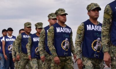 “Erick”, el primer huracán de la temporada 2025 en el Pacífico, se encuentra a 255 km al sur-sureste de Puerto Ángel, Oaxaca, con vientos sostenidos de 120 km/h y rachas de hasta 140 km/h.