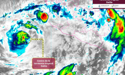 La Comisión Nacional del Agua (Conagua) señaló que Dalila está generando lluvias intensas en Nayarit y Jalisco, muy fuertes en Michoacán, y fuertes en Sinaloa y Colima.