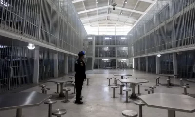 Durante 2024, ingresaron 140 mil 510 personas al sistema penitenciario. En los centros estatales, los delitos más frecuentes fueron el robo y el narcomenudeo