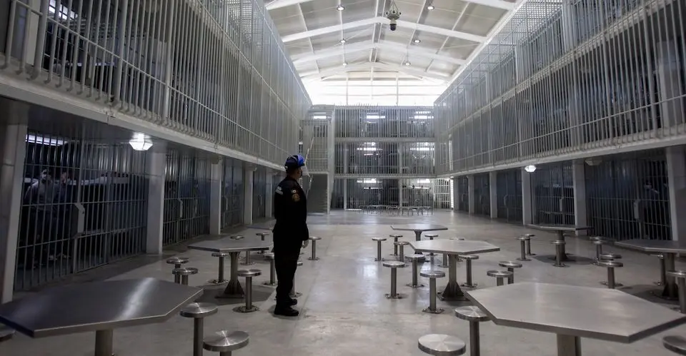Durante 2024, ingresaron 140 mil 510 personas al sistema penitenciario. En los centros estatales, los delitos más frecuentes fueron el robo y el narcomenudeo