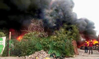 Durante los momentos más críticos del incendio, algunas personas se arriesgaron para rescatar a varios caballos que se encontraban amarrados dentro del terreno afectado.