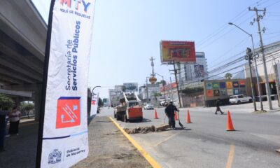 Los trabajos incluyeron bacheo, raspado y lavado de muros y tubos, aplicación de pintura en cordones y muretes, además de barrido manual, deshierbe, recolección de basura y mantenimiento de barandales en las jorobas.