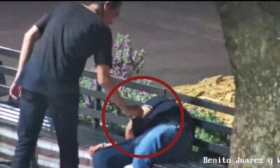 Personal del C4 observó a través de las cámaras cómo el presunto delincuente se acercaba a la víctima, un joven de 19 años, y le sacaba el teléfono del bolsillo del pantalón mientras dormía.