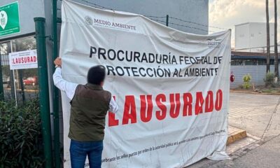 En su comunicado, la Profepa detalló que Zinc Nacional deberá presentar en un plazo de cinco días hábiles un plan detallado para detener sus actividades y procesos de forma segura, incluyendo medidas para evitar la dispersión de partículas y caracterizar suelos contaminados.