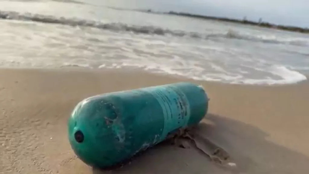 Hasta ahora, no se han impuesto sanciones formales, pero organizaciones y pescadores locales presionan para que se castigue a la compañía. Se espera que el Gobierno federal emita un dictamen oficial en las próximas semanas.