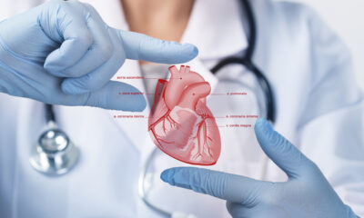 Argüero, hoy profesor emérito de la Facultad de Medicina de la UNAM y con 90 años de edad, relató a EFE los detalles de aquella jornada que transformó la historia de los trasplantes en México.