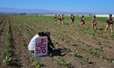 Las autoridades mexicanas reiteraron su compromiso de defender los derechos de los trabajadores migrantes, independientemente de su estatus migratorio.