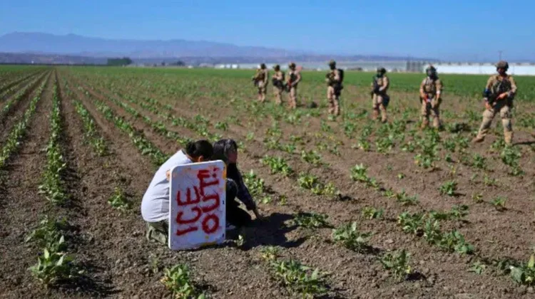 Las autoridades mexicanas reiteraron su compromiso de defender los derechos de los trabajadores migrantes, independientemente de su estatus migratorio.
