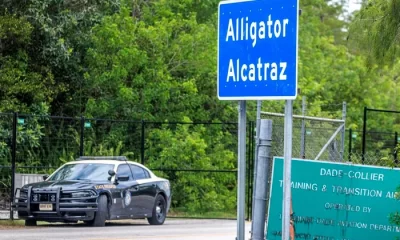 Un estudio de la Universidad de Yale citado en el comunicado alerta sobre la presencia de más de 7 mil millones de mosquitos portadores de enfermedades como Zika, dengue y virus del Nilo Occidental en la zona.