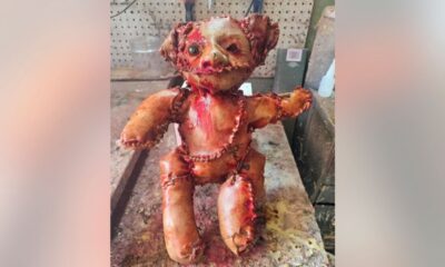 El peluche fue recogido para su análisis por un investigador especializado, lo que generó gran expectación ante la posibilidad de que estuviera fabricado con tejido humano auténtico