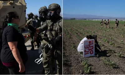 Lisa Tate sostiene que remover a esta fuerza laboral tendría consecuencias devastadoras: paralización de haciendas, alza en precios de alimentos y una posible crisis alimentaria nacional, al verse obligados a importar productos básicos.