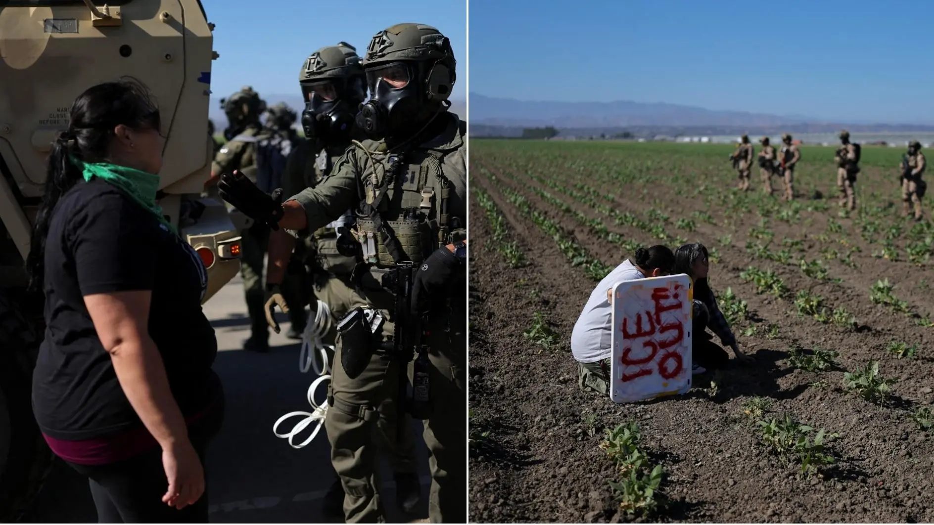 Lisa Tate sostiene que remover a esta fuerza laboral tendría consecuencias devastadoras: paralización de haciendas, alza en precios de alimentos y una posible crisis alimentaria nacional, al verse obligados a importar productos básicos.