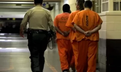 . El DOJ no reveló sus identidades por razones de seguridad, pero precisó que todos solicitaron voluntariamente su traslado a México para cumplir el resto de su condena, lo que fue aprobado por las autoridades de Estados Unidos.